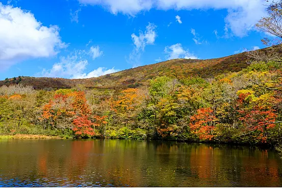 吾妻山　池之原