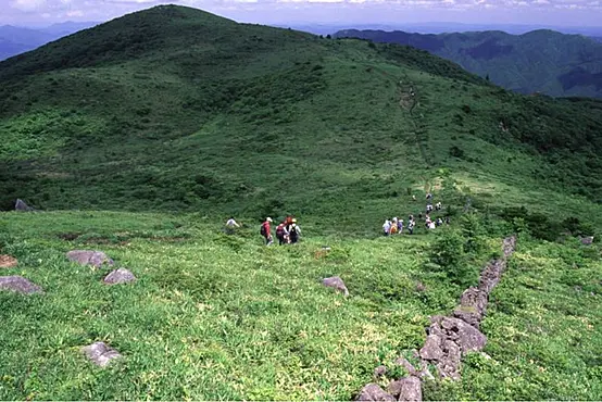 道後山の石塁