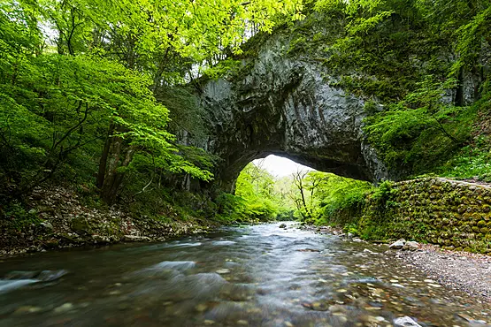 雄橋