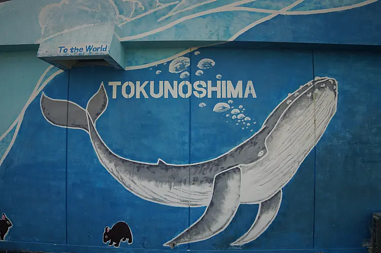 竹村和也さんの作品