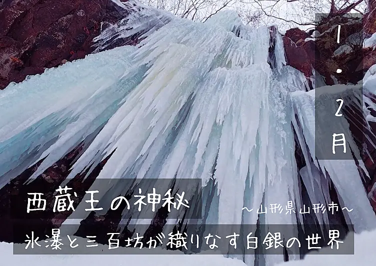 4日だけの限定体験！