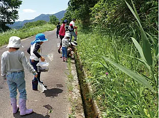 水路で自然散策を楽しむ子どもたち