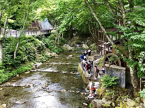 龍泉洞渓流釣り