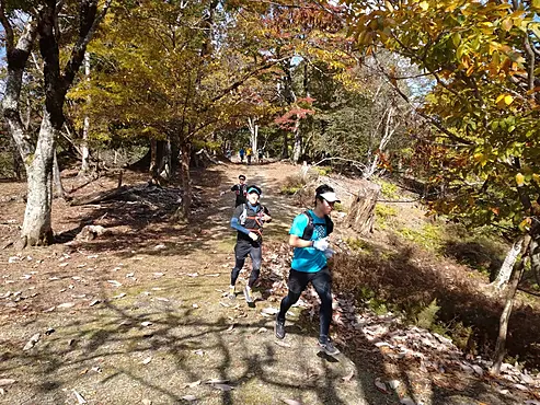 紅葉した秋の山道を走る男女