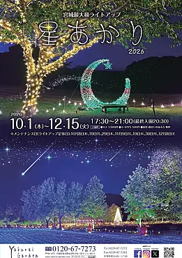 ライトアップされた庭園